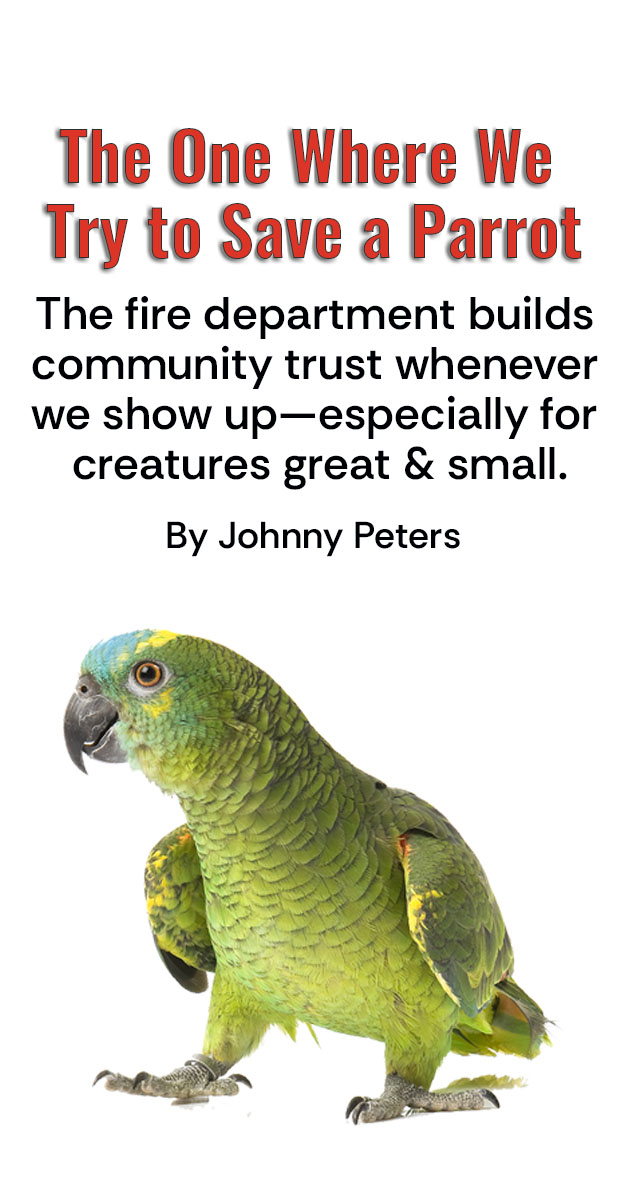 The One Where We Try to Save a Parrot: The fire department earns community trust whenever we show up—especially for creatures great & small.​